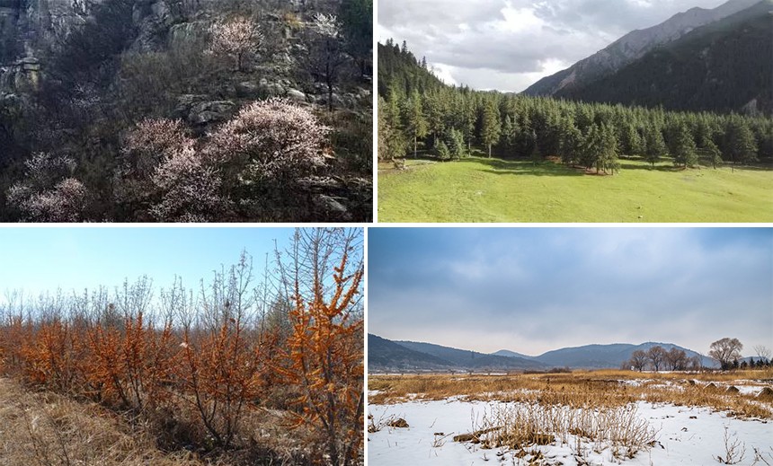 林業巡檢 林業巡檢