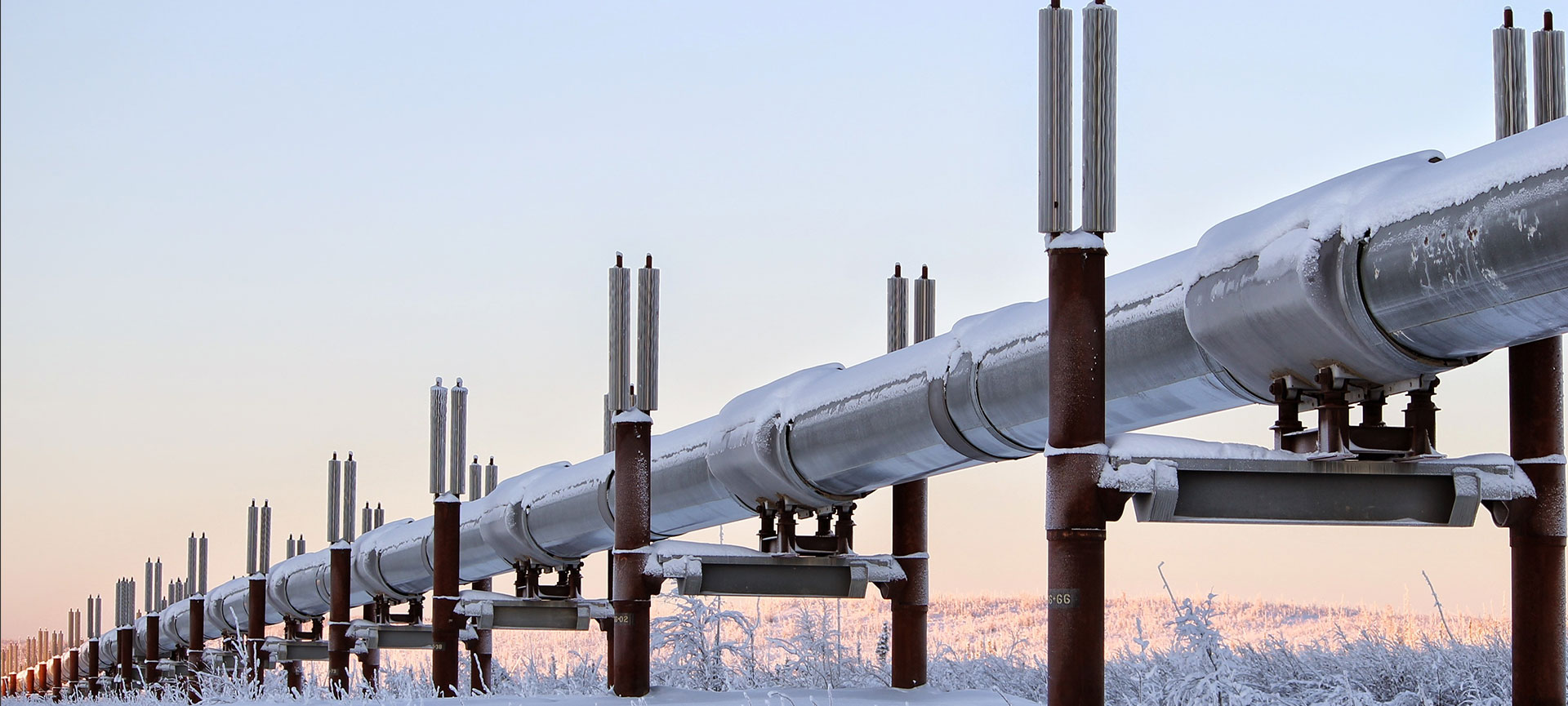 石油燃氣巡檢系統